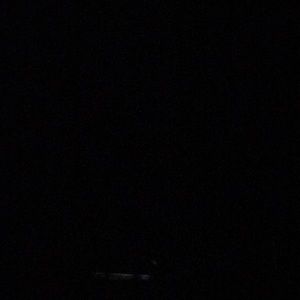 Meet your Posher, Wilber